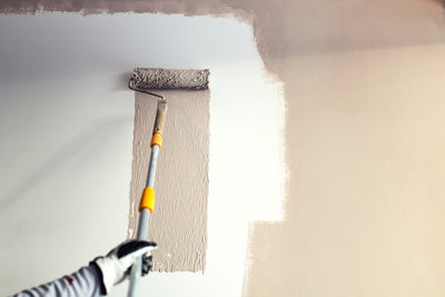 Wall and Ceiling Coatings