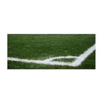 RD-Football White Line Marker Paint