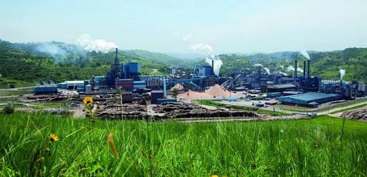 Protecting a Pulp Mill for 25 Years with PPG Coatings