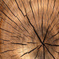 Barpimo Clear Natural Wood Varnish (Hydrobarp Care Nature Matt)